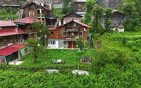Ayder Palas Apart Hotel
